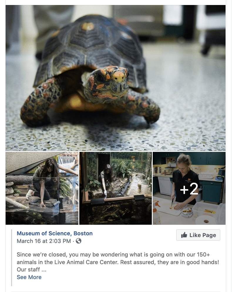 Link to Museum of Science FB post.